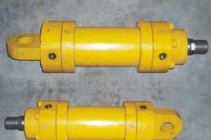 ���̙CеҺ�����g(sh��)�l(f��)չ�C��