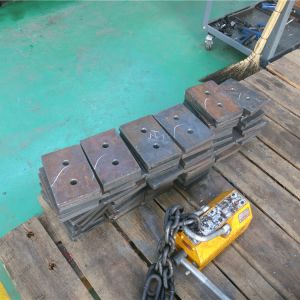 2018111102 ���������^