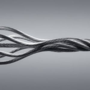 С���C(j��)䓽z�K��Ҫ�p���F(xi��n)��Ġ�r