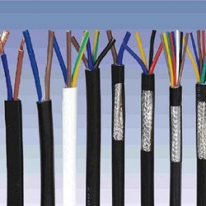 ������|����|���N��е�һ�N��ʲô�ǿ�����|��